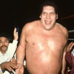 How Tall Is Andre the Giant